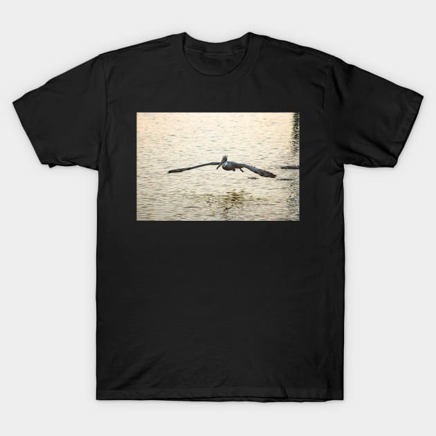 Come Fly with Me T-Shirt by KensLensDesigns